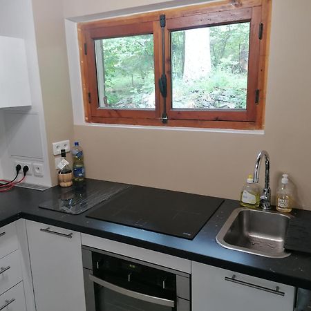 Chalet Le Tyrolien, Au Coeur Du Boreon Saint-Martin-Vésubie Kültér fotó