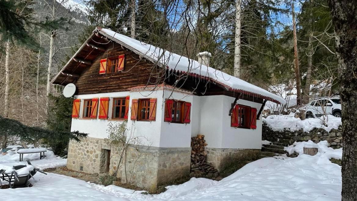 Chalet Le Tyrolien, Au Coeur Du Boreon Saint-Martin-Vésubie Kültér fotó
