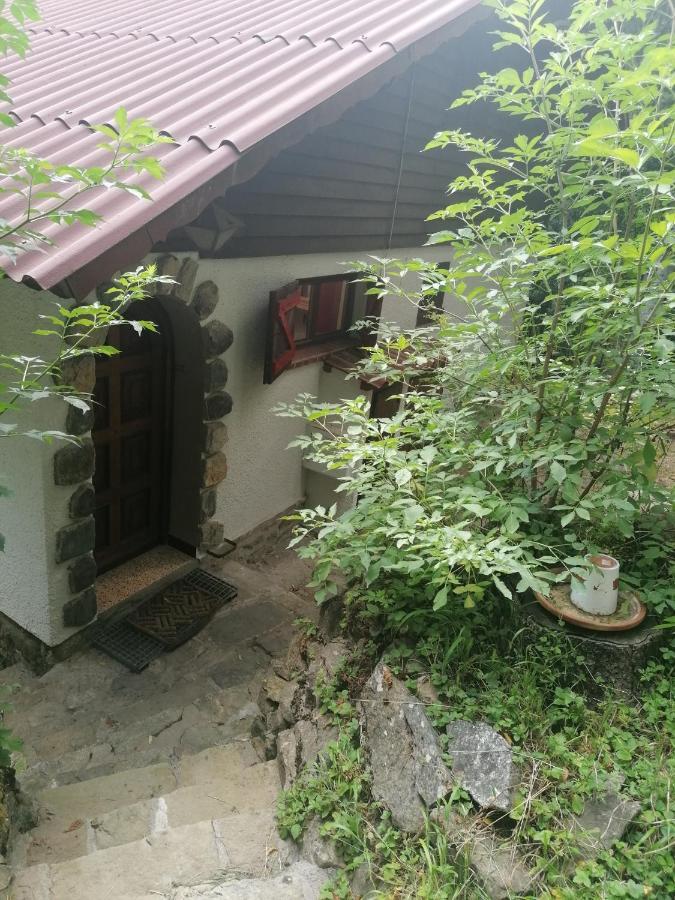 Chalet Le Tyrolien, Au Coeur Du Boreon Saint-Martin-Vésubie Kültér fotó