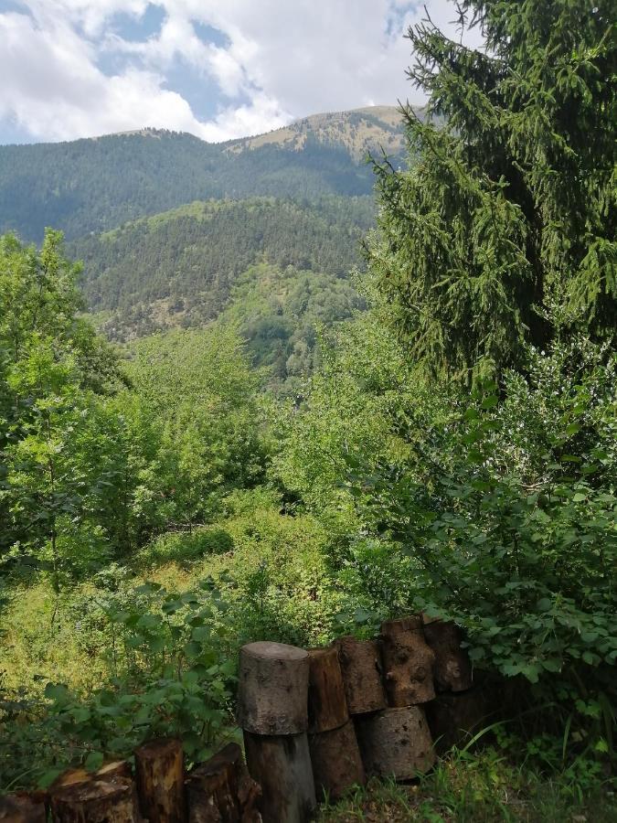 Chalet Le Tyrolien, Au Coeur Du Boreon Saint-Martin-Vésubie Kültér fotó